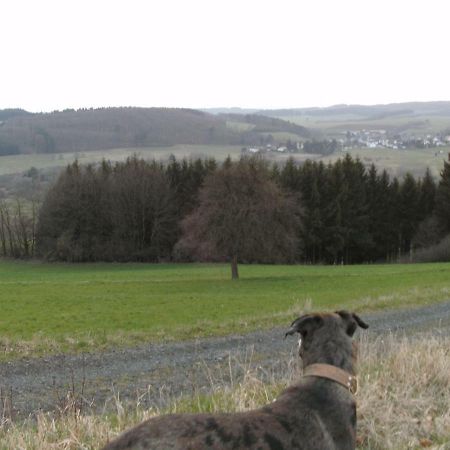 Funny-Farm Villa Sassen Bagian luar foto