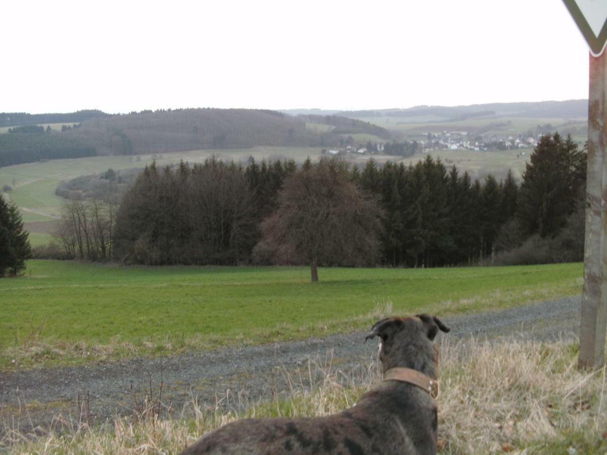 Funny-Farm Villa Sassen Bagian luar foto