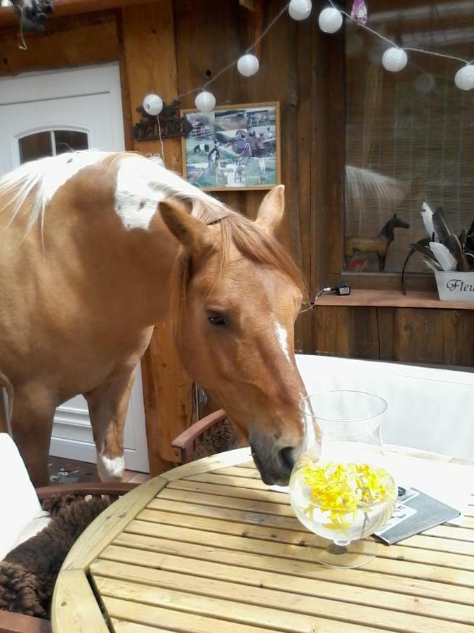 Funny-Farm Villa Sassen Bagian luar foto