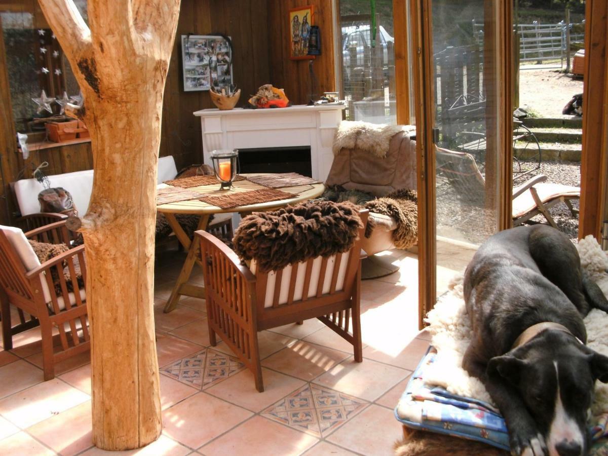Funny-Farm Villa Sassen Bagian luar foto