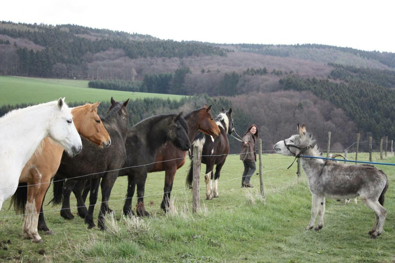 Funny-Farm Villa Sassen Bagian luar foto